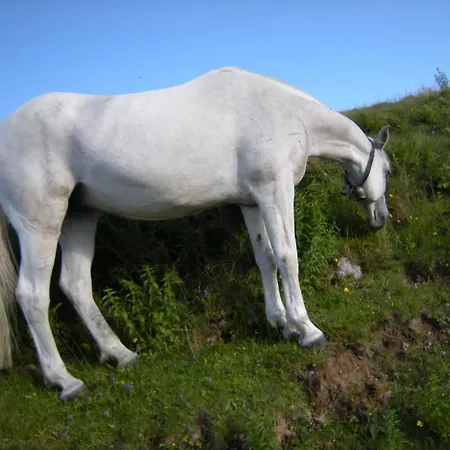 Apartament Ferienhaus Hintersee