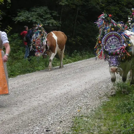 Ferienhaus Hintersee Διαμέρισμα Hintersee