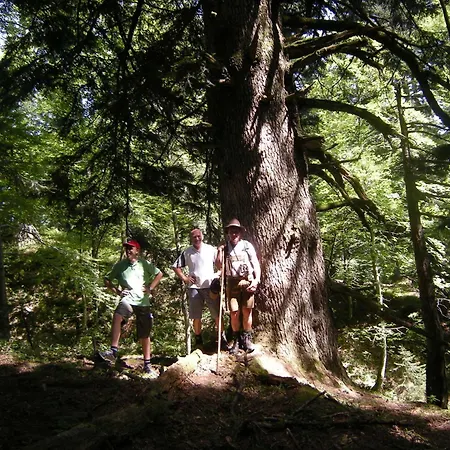 Ferienhaus Hintersee Apartment *