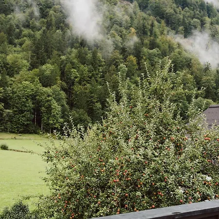 Ferienhaus Hintersee *